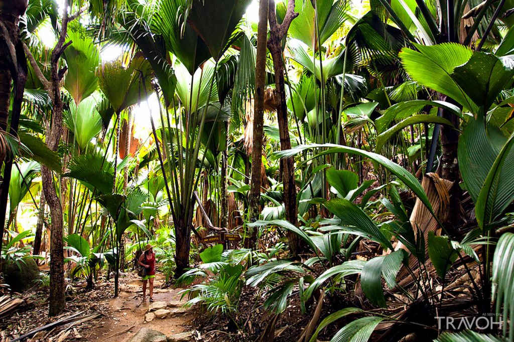 Praslin, Seychelles - An Exotic Luxury Island Escape off the Eastern Coast of Africa