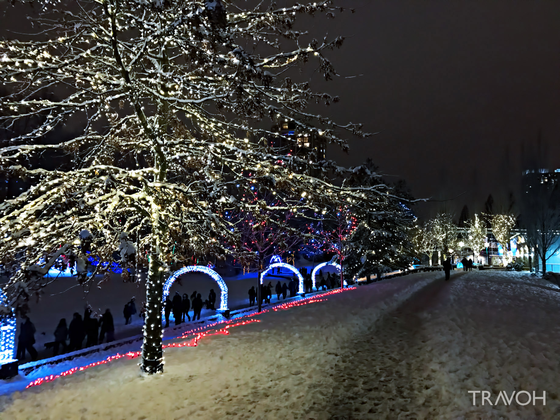 Lafarge Winter Lights Display - Spectacle for the Holiday Season and New Year Celebration