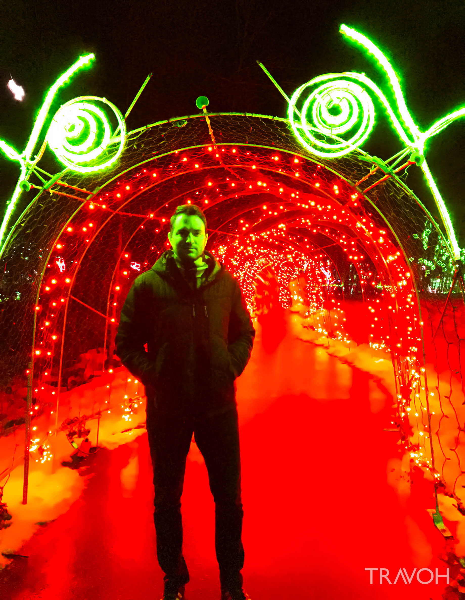 Marcus Anthony - Lafarge Winter Lights Display - Caterpillar - Coquitlam, BC, Canada