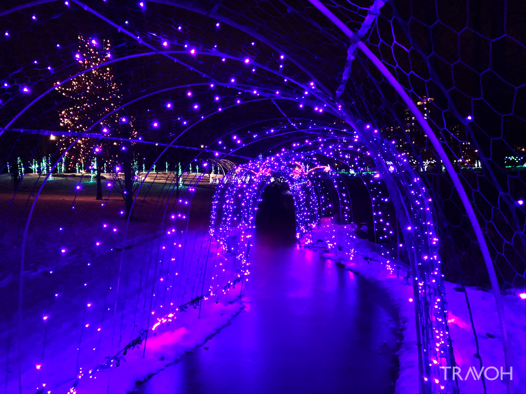 Lafarge Winter Lights Display - Caterpillar - Coquitlam, BC, Canada