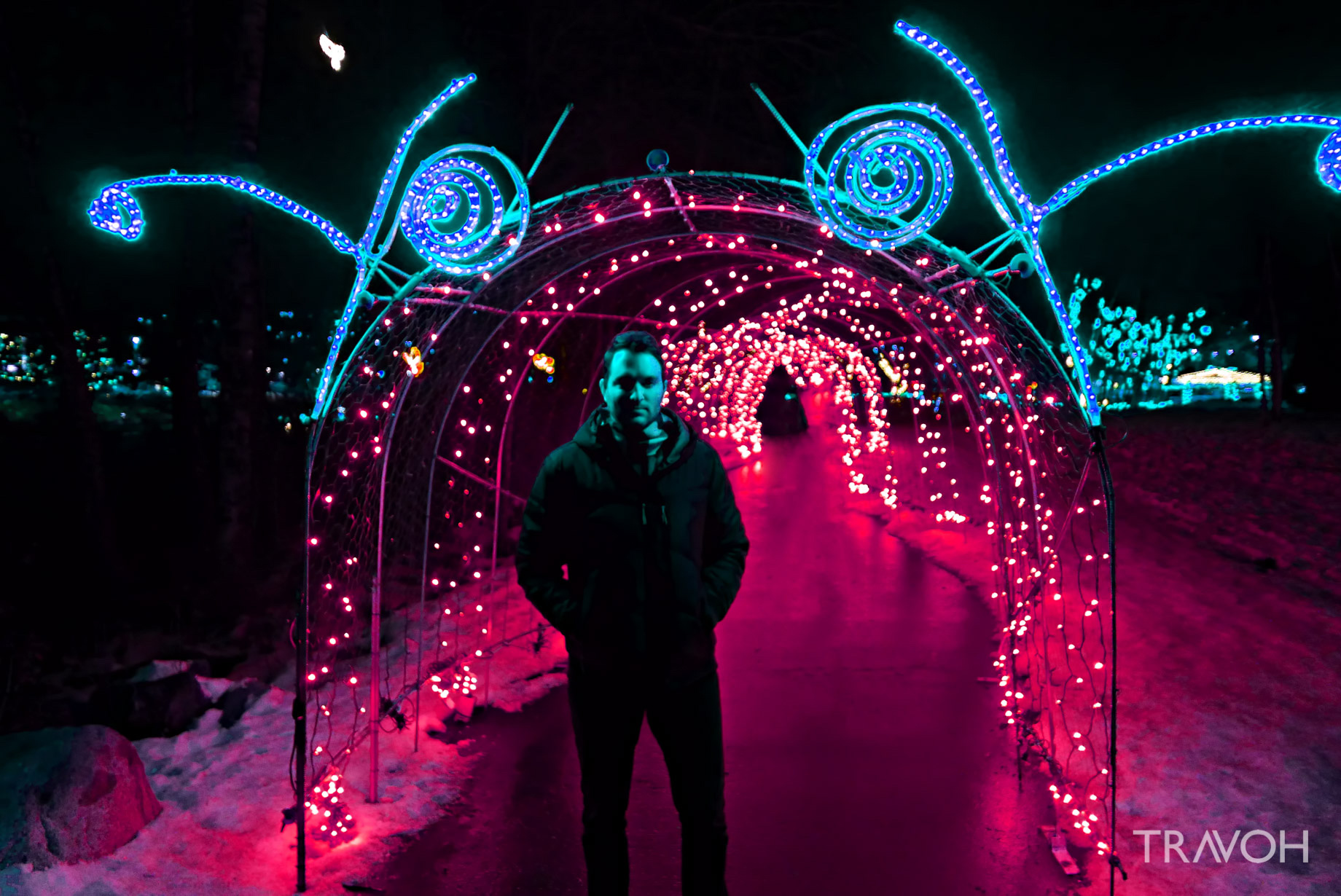 Marcus Anthony - Lafarge Winter Lights Display - Caterpillar - Coquitlam, BC, Canada