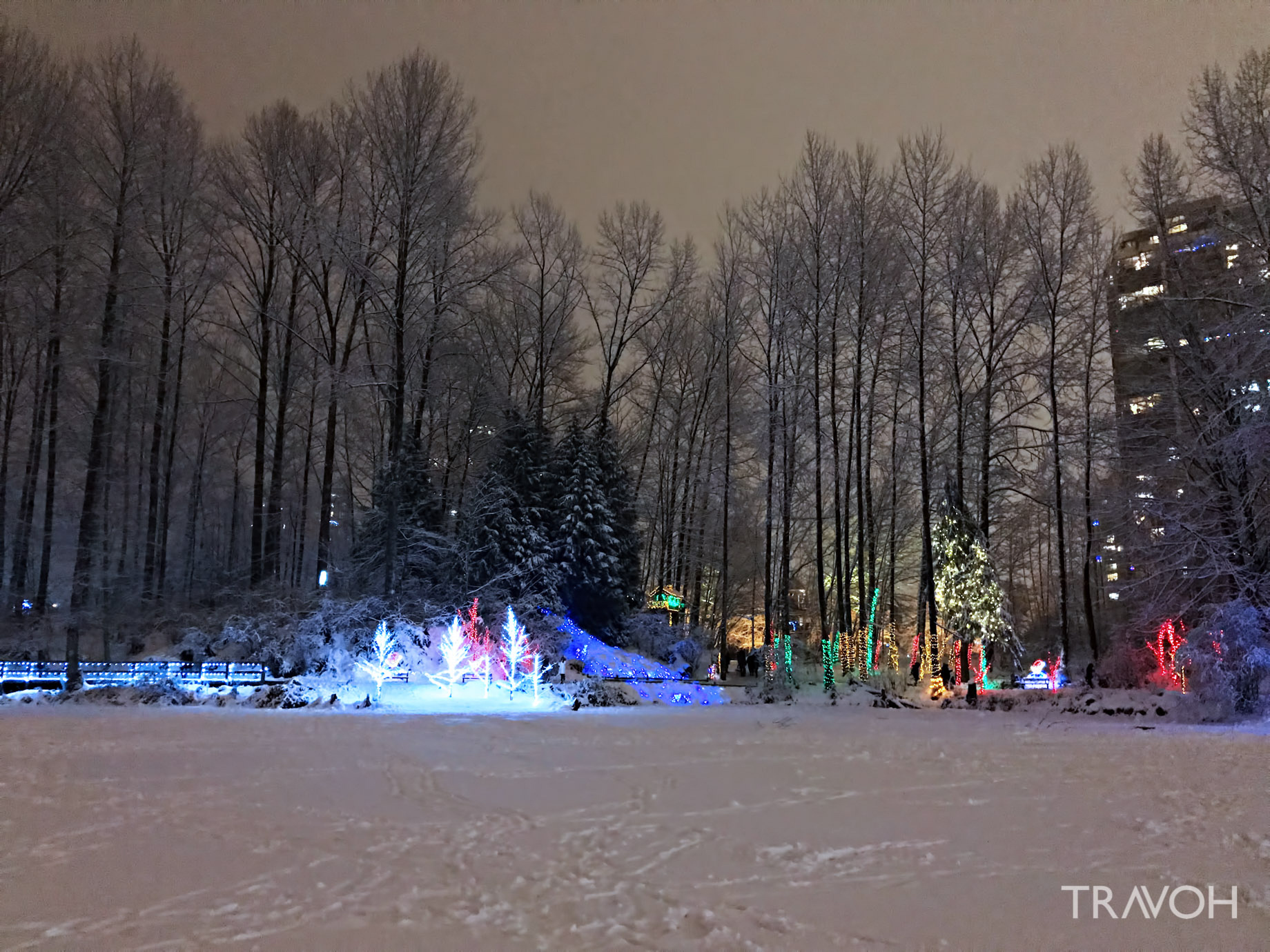 Lafarge Winter Lights Display - Frozen Lake - Coquitlam, BC, Canada