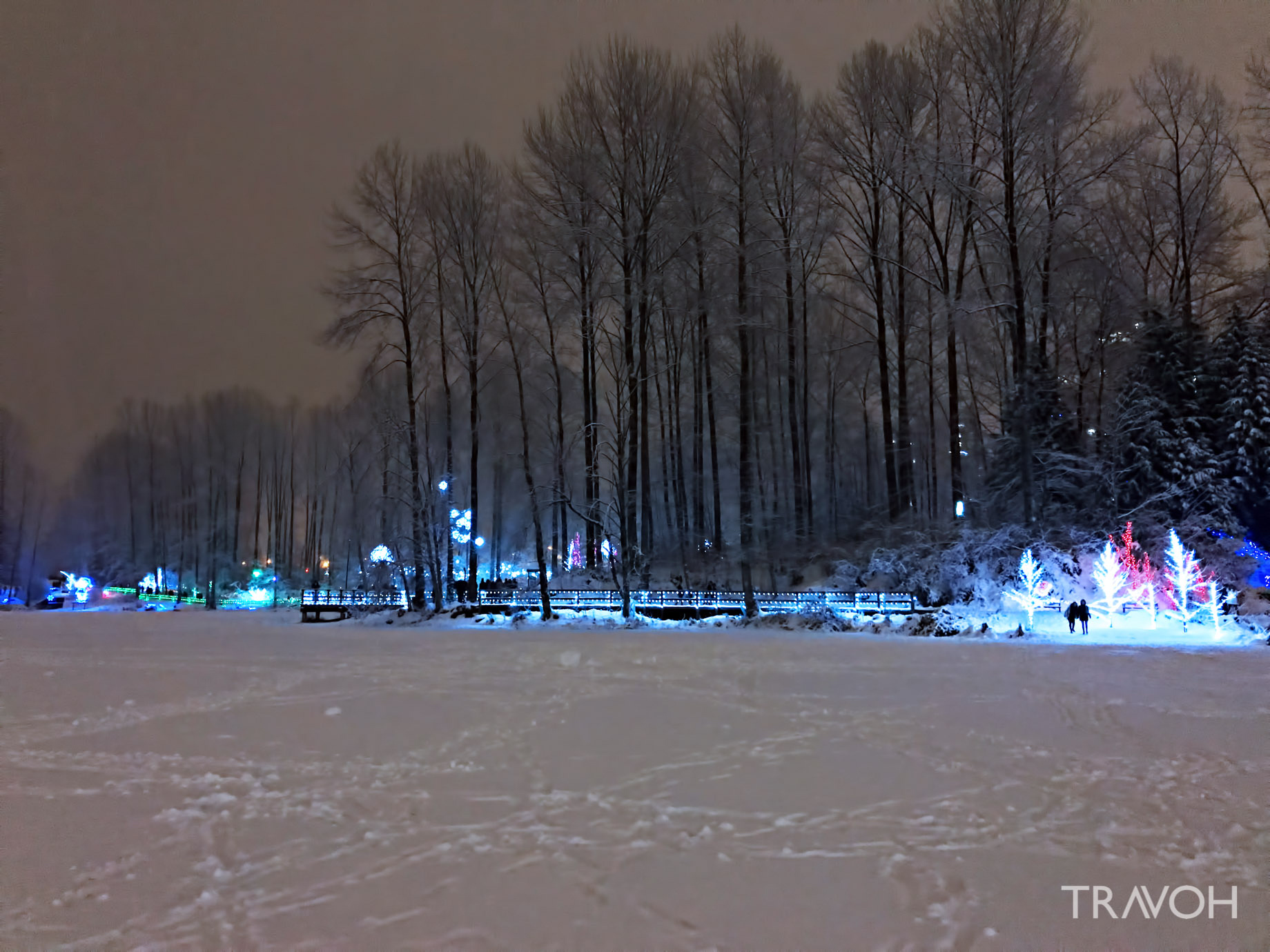 Lafarge Winter Lights Display - Frozen Lake - Coquitlam, BC, Canada