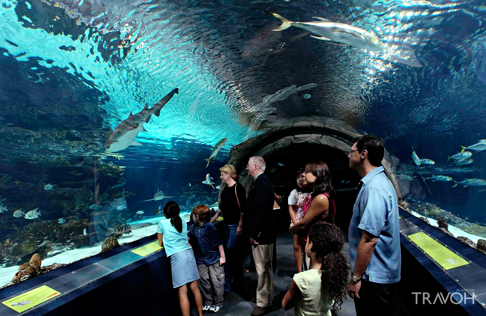 Adventure Aquarium - 1 Riverside Drive, Camden, NJ, USA