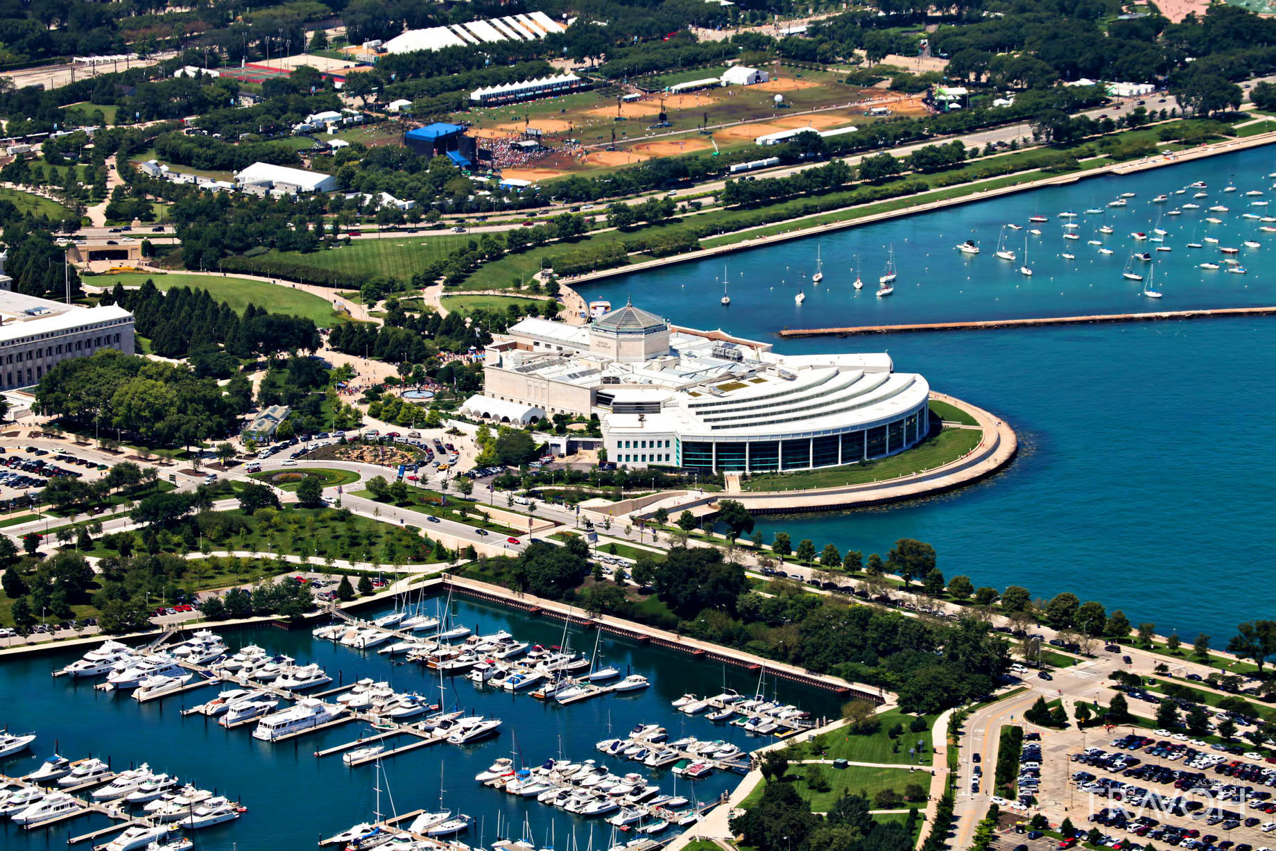 Visit the Shedd Aquarium – 1200 S Lake Shore Dr, Chicago, IL, USA