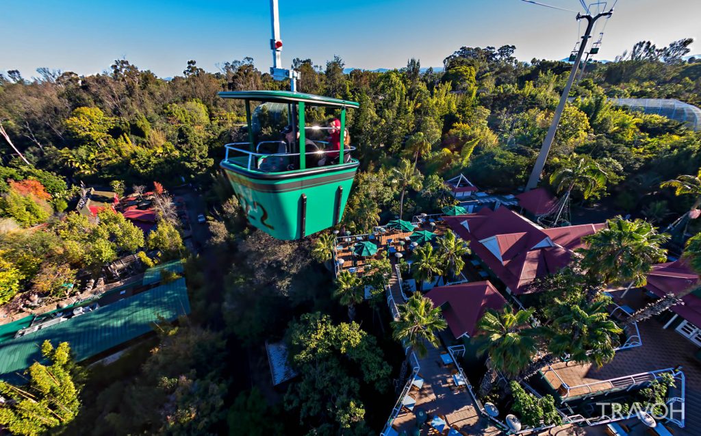 San Diego Zoo – 2920 Zoo Dr, San Diego, CA, USA – TRAVOH