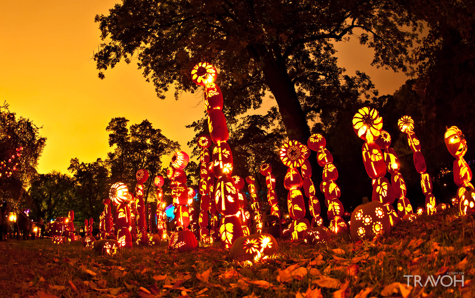 Great Jack O’Lantern Blaze - 525 S Riverside Ave, Croton-on-Hudson, NY, USA