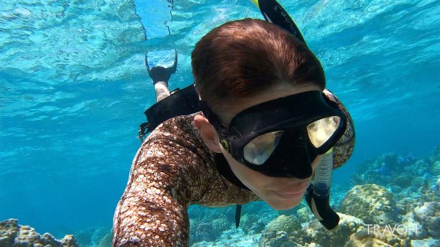 Bora Bora - Diving Down, Spearfishing, Sea Life, Tropical Fish, Coral - French Polynesia - 4K Travel