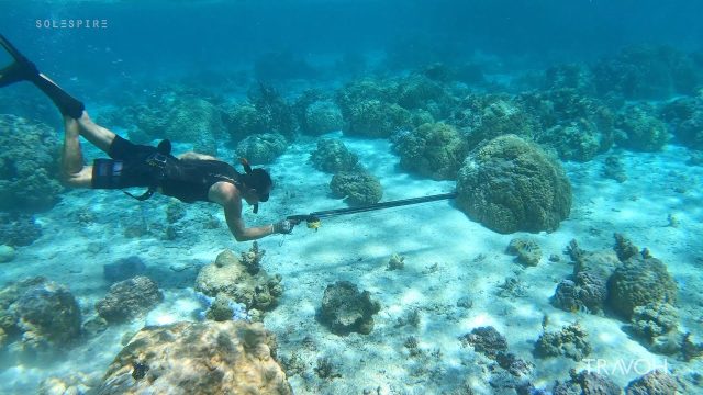 Bora Bora - Underwater, Spearfishing, Sea Life, Tropical Fish, Coral - French Polynesia - 4K Travel