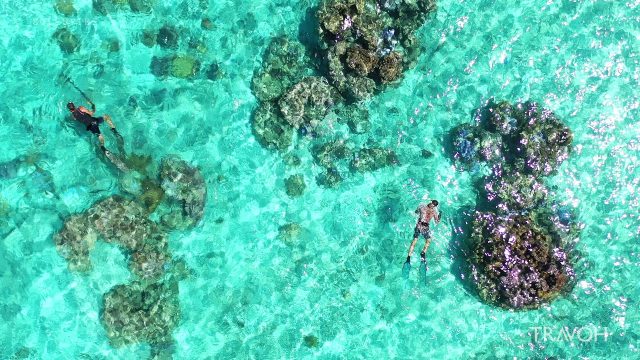 Tropical Turquoise Sea - Spearfishing - Motu Tane Island, Bora Bora, French Polynesia - 4K Travel