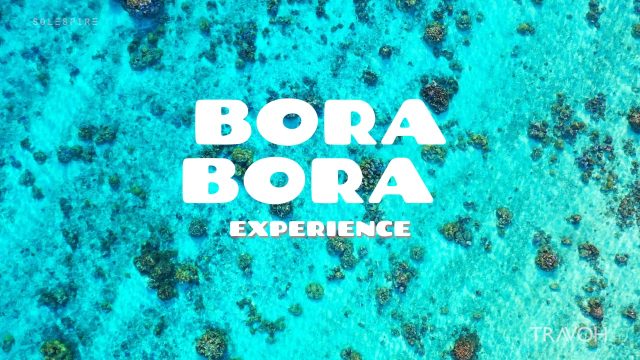 Turquoise Sea Waves, Coral Reef, Tropical Fish - Drone - Bora Bora, French Polynesia - 4K Travel