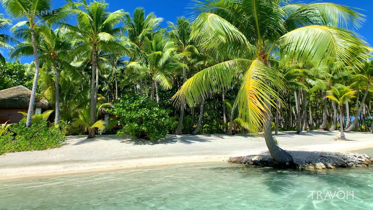 Boating in Tropical Paradise - Motu Tane Private Island - Bora Bora, French Polynesia - 4K Travel