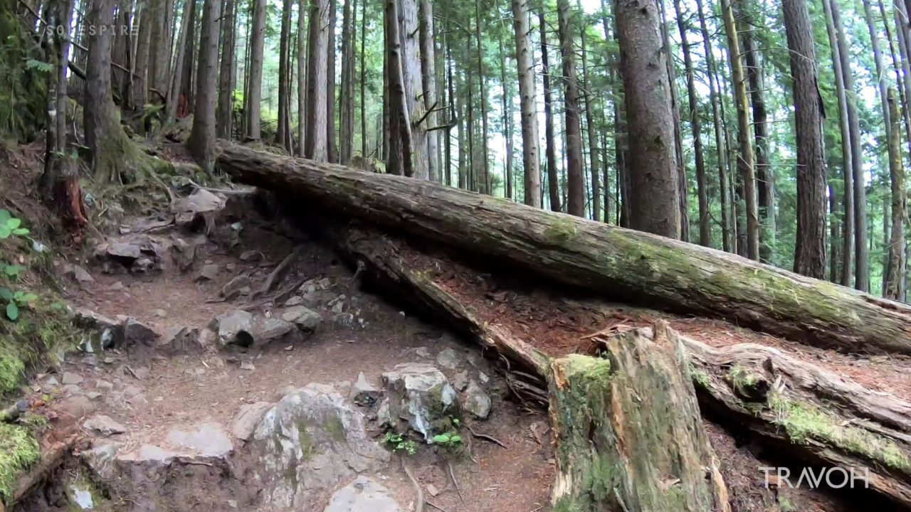 Jug Island 5km Hiking Timelapse - Pacific Ocean - Vancouver, British Columbia, Canada - 4K Travel