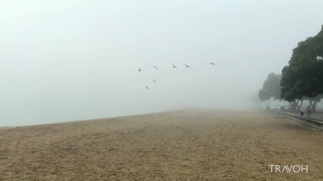 Fog On The Beach - Auckland, New Zealand - Walking On The Beach - 4K Travel