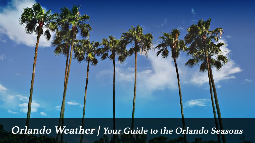 Orlando Weather Your Guide to the Orlando Seasons TRAVOH