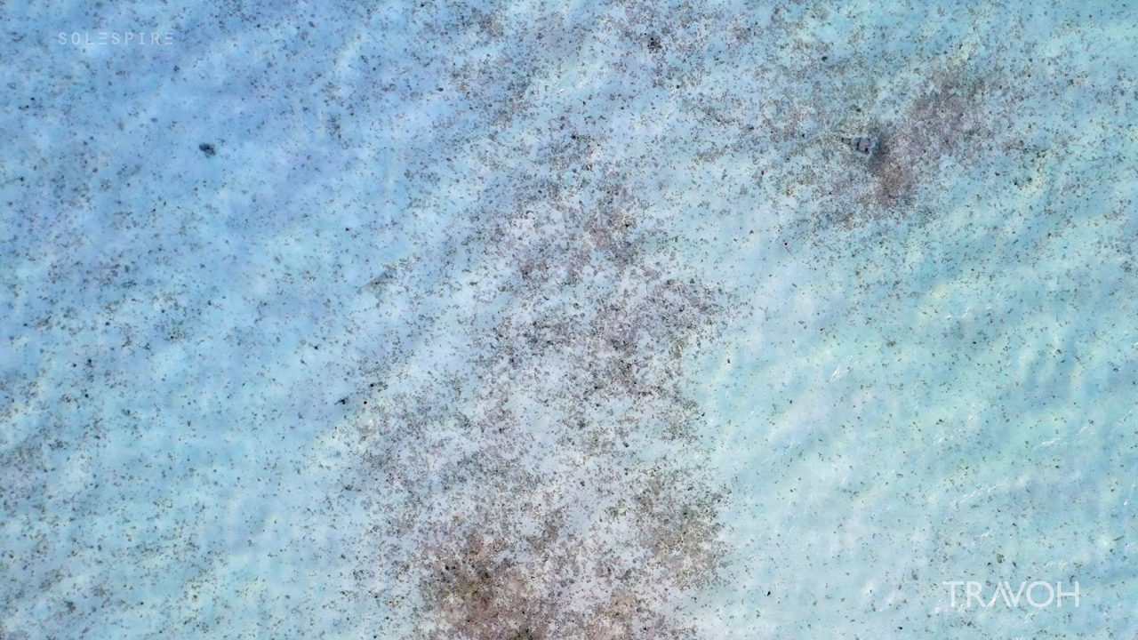 Mindful Thoughts - Seafloor Stillness - Calming Waves - Bora Bora, French Polynesia - 4K Travel Video