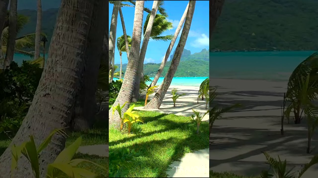 Private Island Beach 🏝 – Paradise – Motu Tane, Bora Bora, French Polynesia 🇵🇫 – 4K Travel #shorts – Video