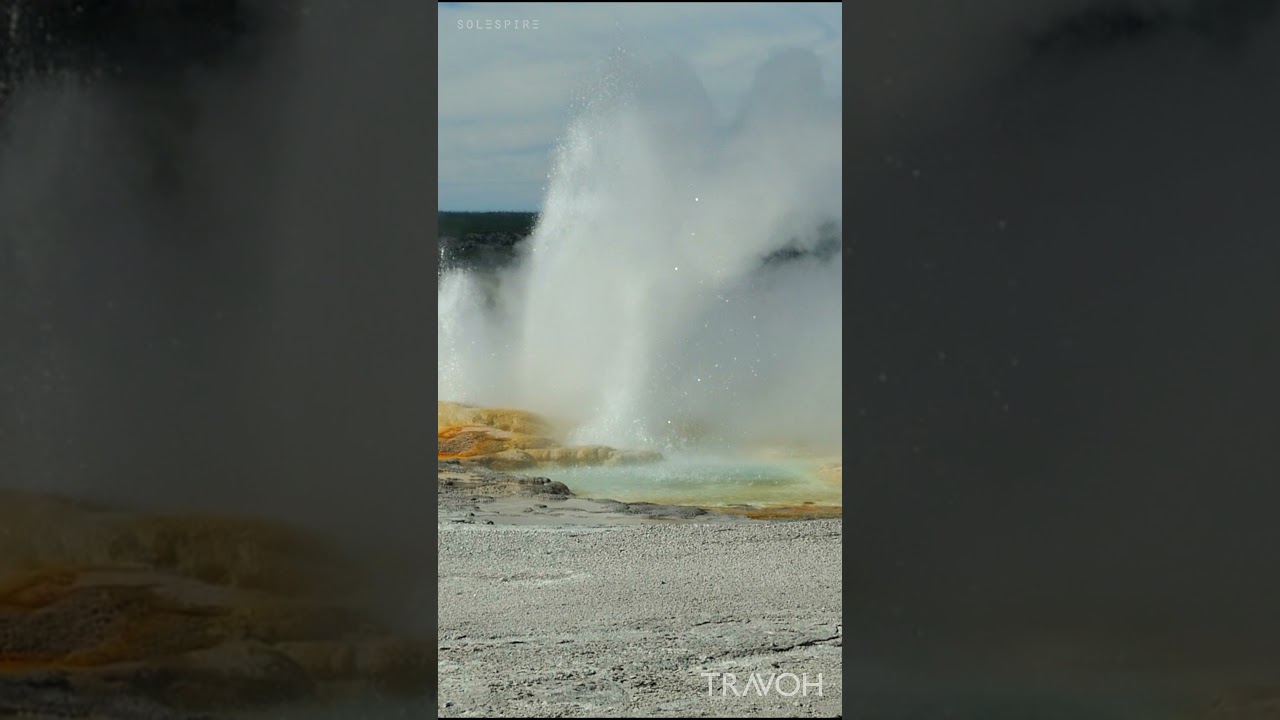 Yellowstone National Park - Wyoming, USA - Geyser - Earth Nature - HD Travel Video #shorts