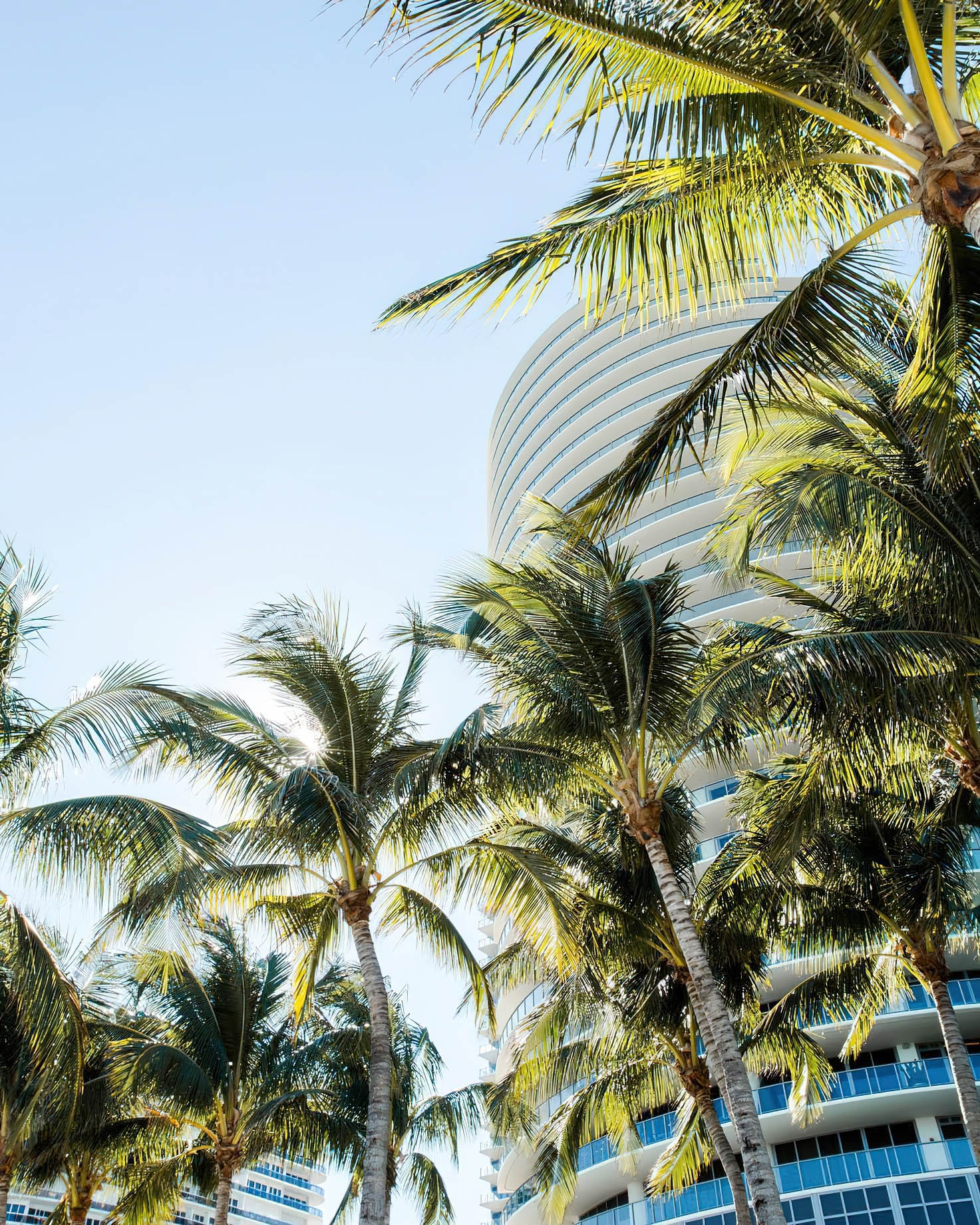 The St. Regis Bal Harbour Resort – Miami Beach, FL, USA – Tower Palm Trees