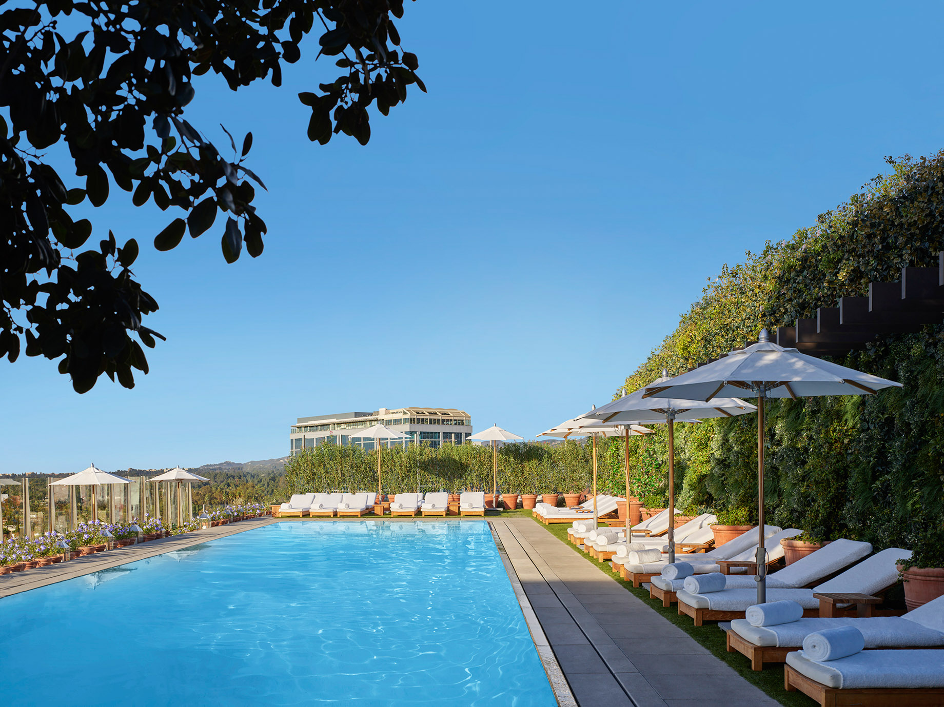 The West Hollywood EDITION Hotel - West Hollywood, CA, USA - Hotel Pool