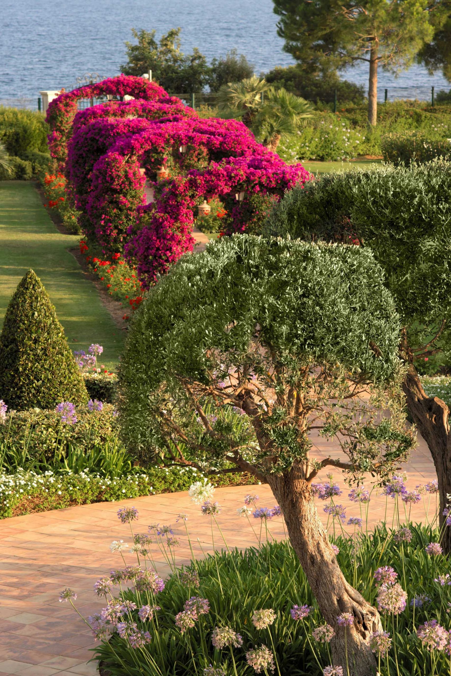 The St. Regis Mardavall Mallorca Resort - Palma de Mallorca, Spain - Garden