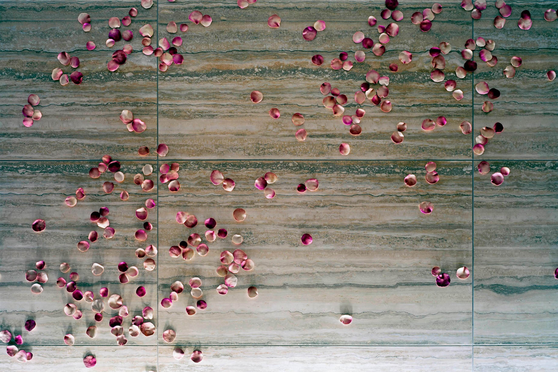 The St. Regis San Francisco Hotel – San Francisco, CA, USA – Rose Petals Art Collection