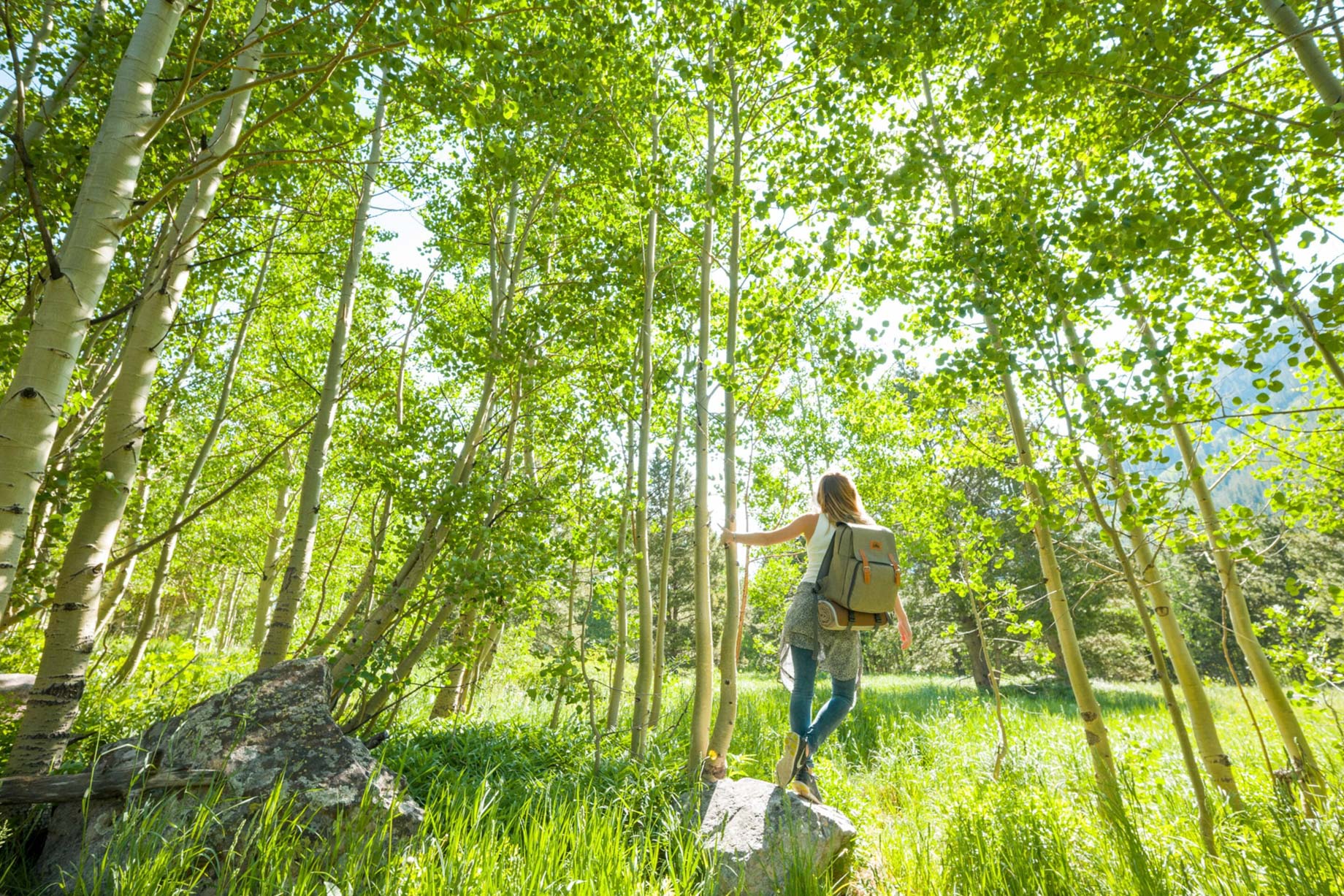 The St. Regis Aspen Resort – Aspen, CO, USA – Aspen Mountain Hiking