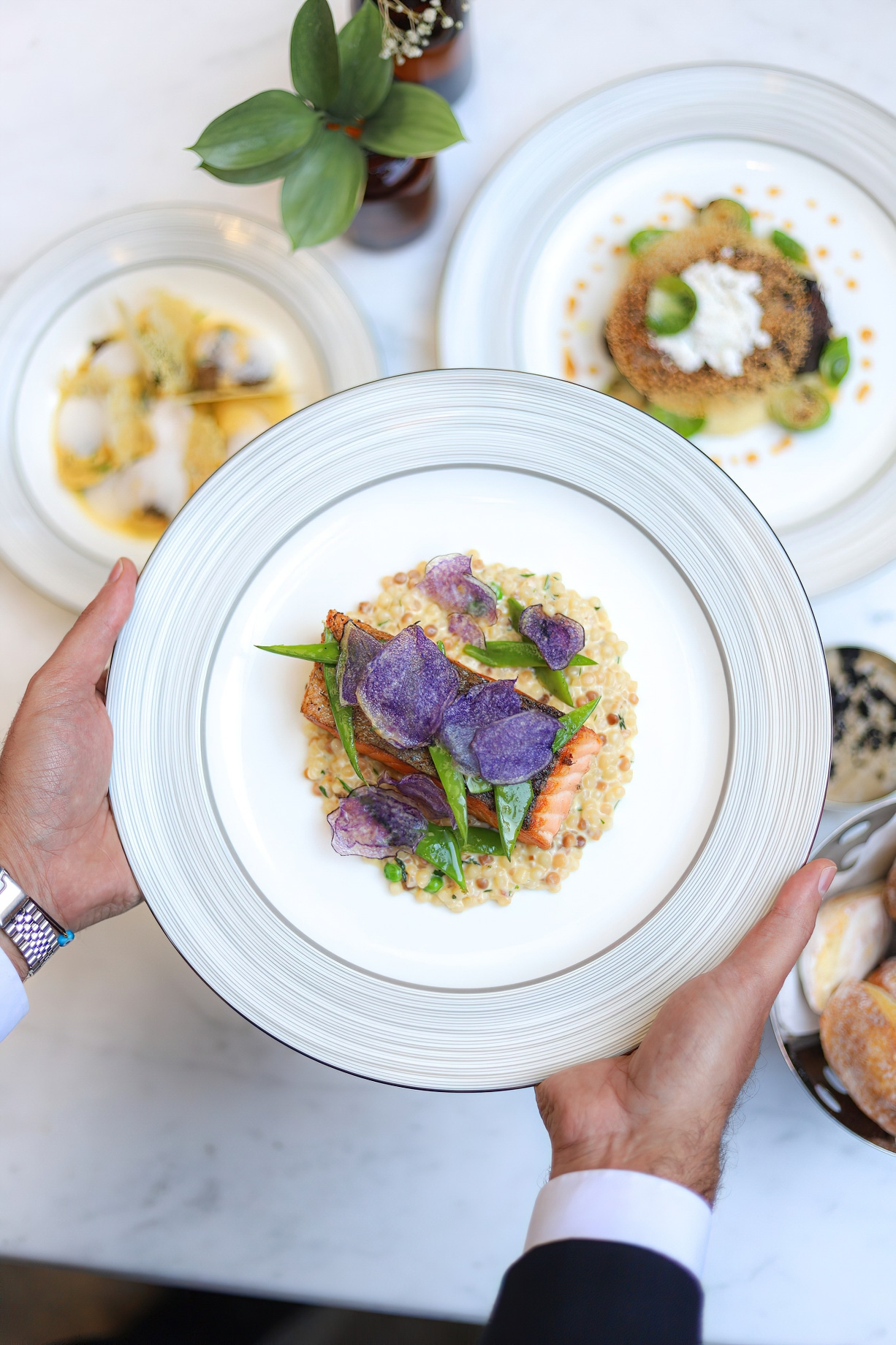 The St. Regis Amman Hotel – Amman, Jordan – Segreta Norwegian Salmon with Purple Gems