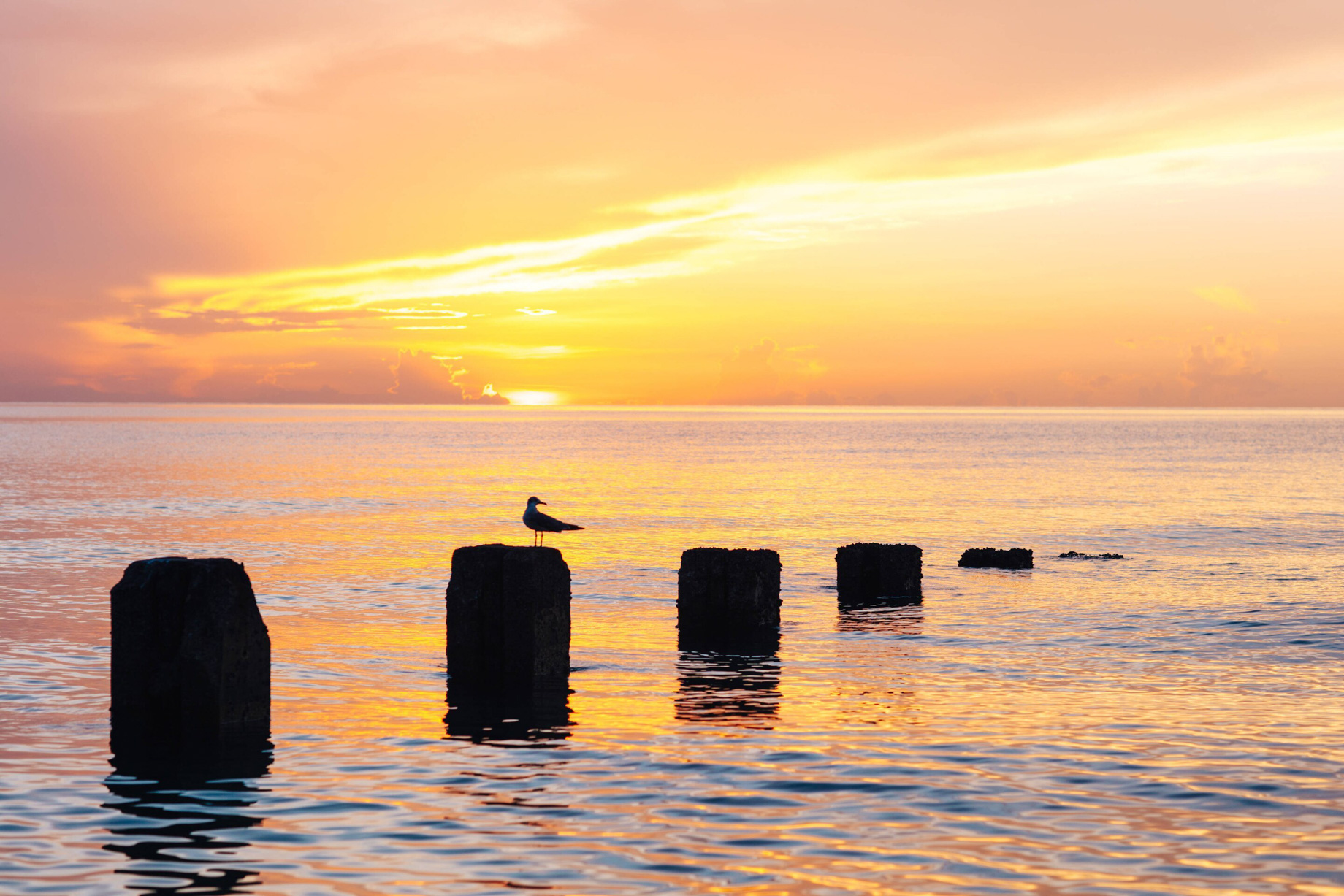 The St. Regis Bal Harbour Resort - Miami Beach, FL, USA - Beach Sunrise