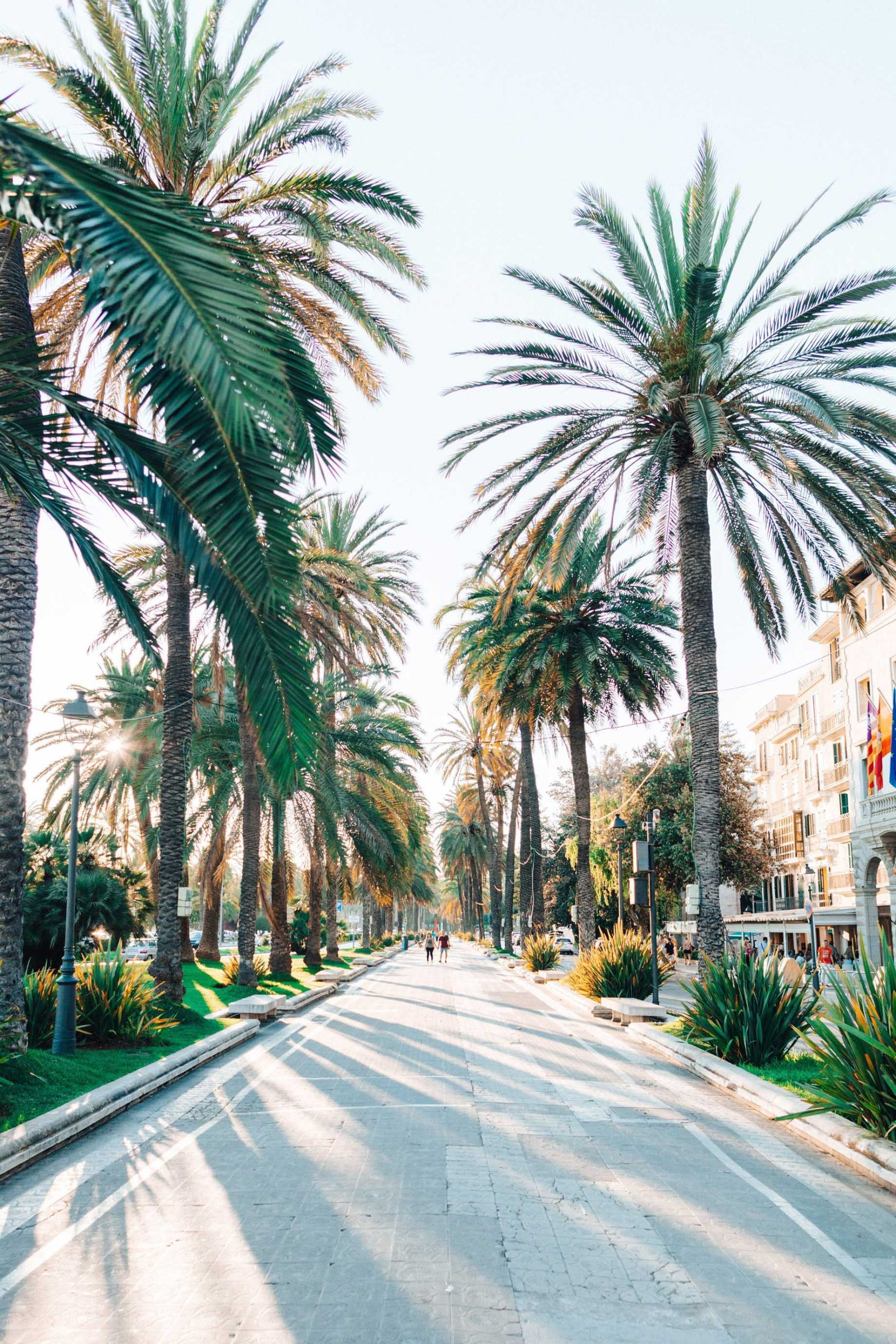 The St. Regis Mardavall Mallorca Resort – Palma de Mallorca, Spain – Palma de Mallorca Street