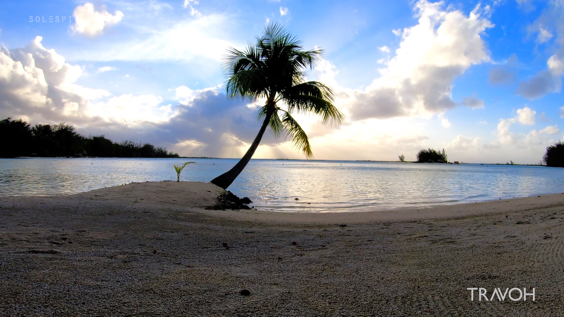 Calm Palm Tree Meditation - Ocean Beach Sunset - Motu Tane, Bora Bora, French Polynesia - 4K Travel Video