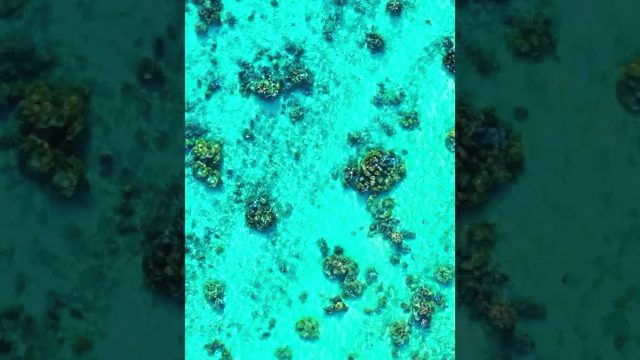 Shades Of Blue - Private Island - Motu Tane, Bora Bora, French Polynesia - 4K Ultra HD Travel