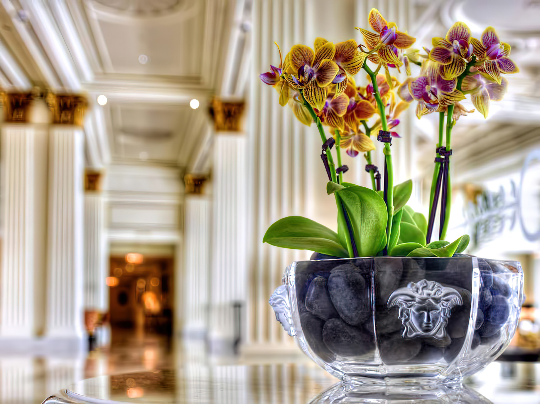 Palazzo Versace Dubai Hotel – Jaddaf Waterfront, Dubai, UAE – Signature Versace Decor