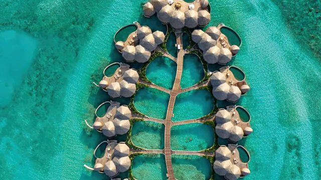 The Nautilus Maldives Resort - Thiladhoo Island, Maldives - Resort Art as Bohemian Design