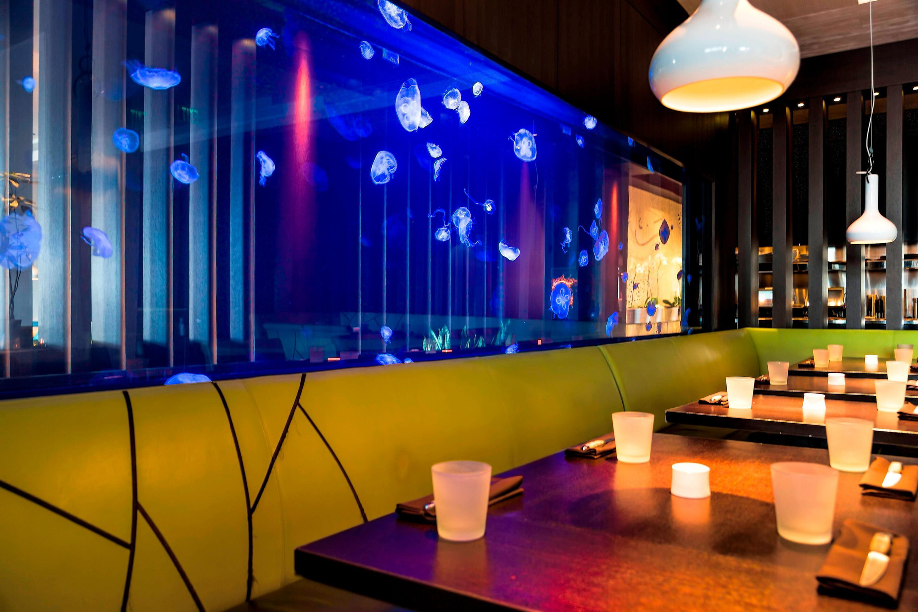 W Fort Lauderdale Hotel – Fort Lauderdale, FL, USA – Steak 954 Jellyfish Tank