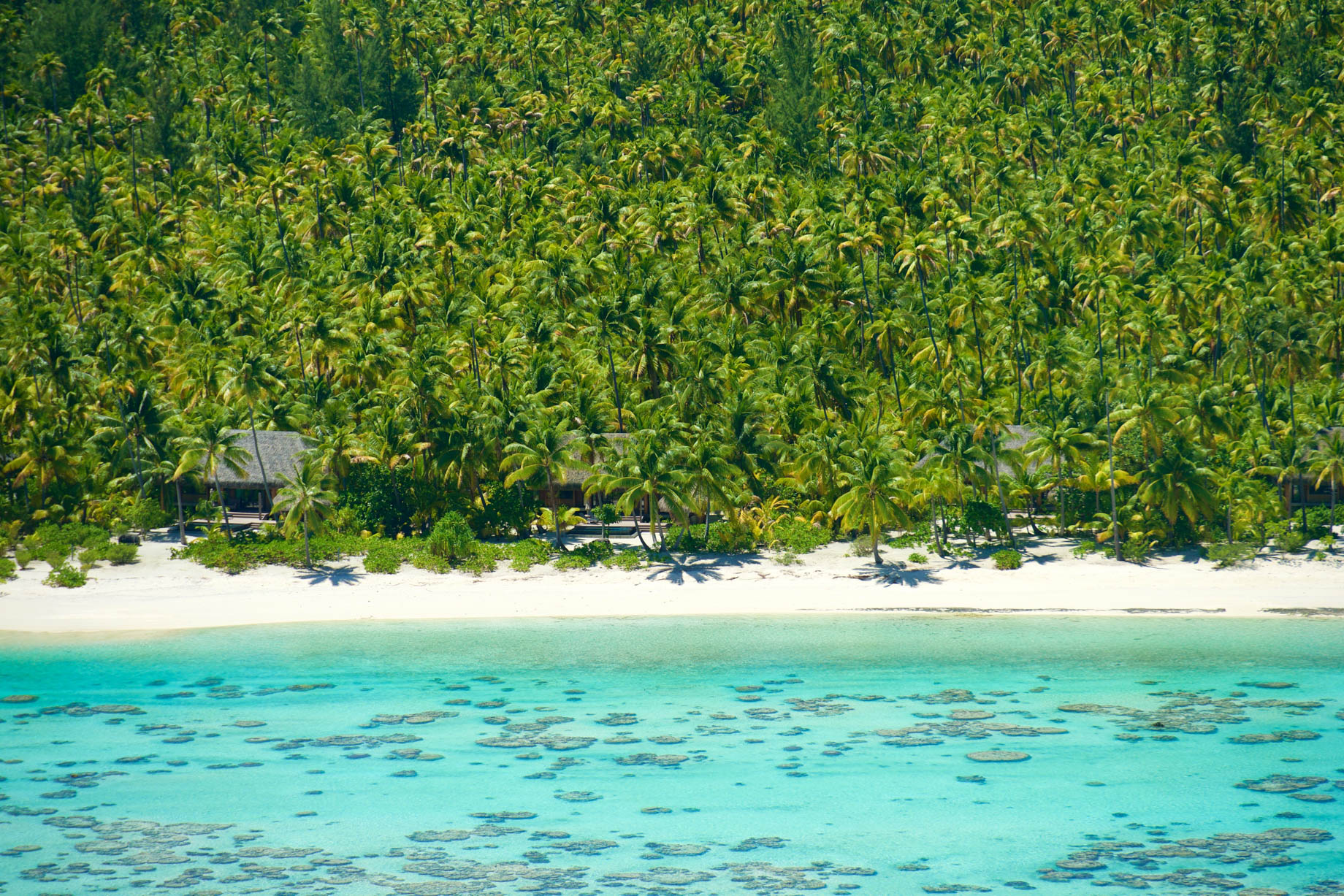 The Brando Resort - Tetiaroa Private Island, French Polynesia - Aerial Resort Villa View