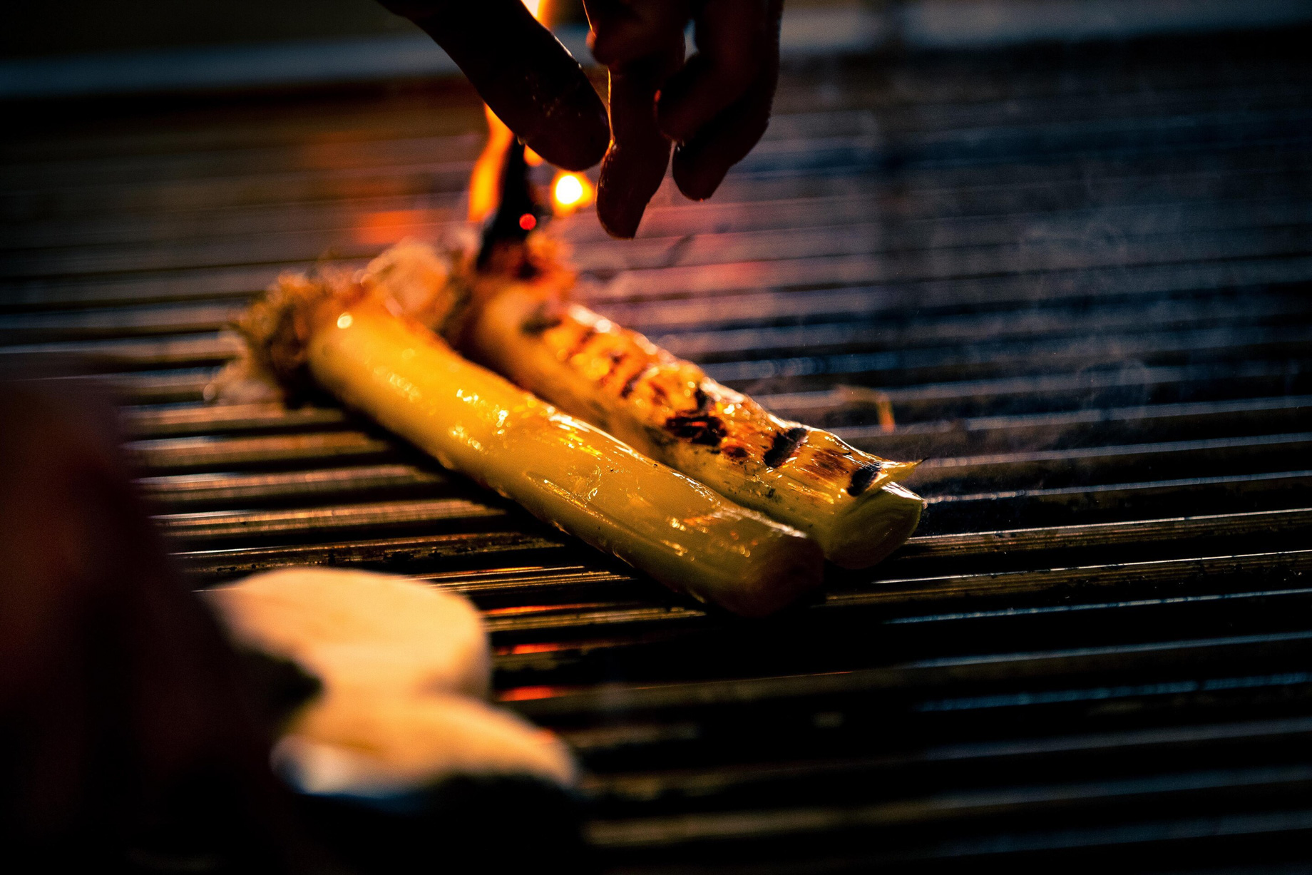 W Barcelona Hotel – Barcelona, Spain – FIRE Leek