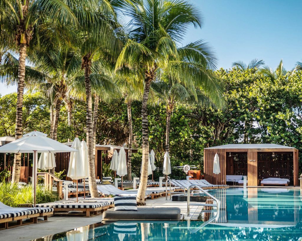 W South Beach Hotel - Miami Beach, FL, USA - Poolside Palm Trees