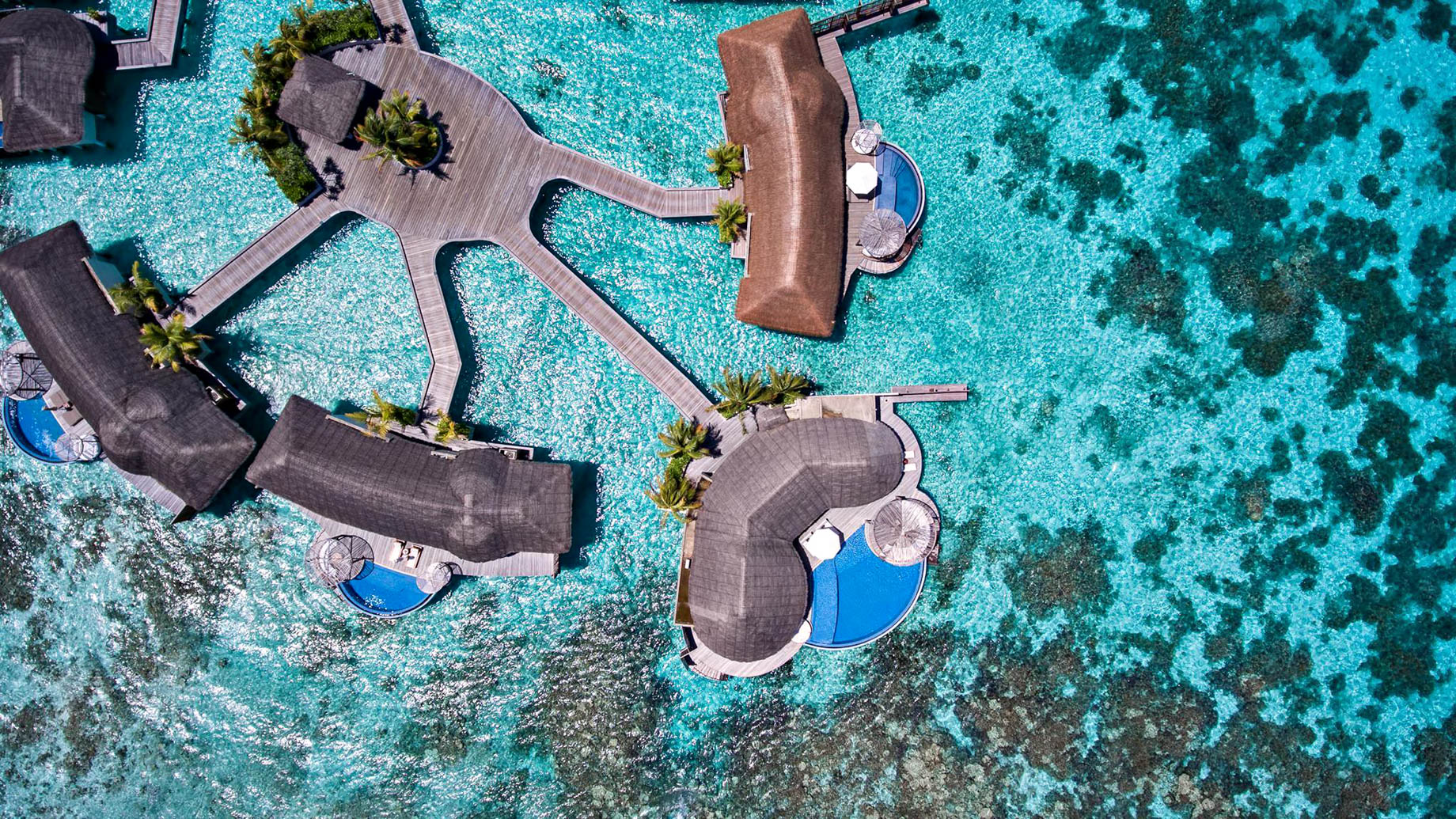 028 – W Maldives Resort – Fesdu Island, Maldives – Overwater Bungalow Overhead View