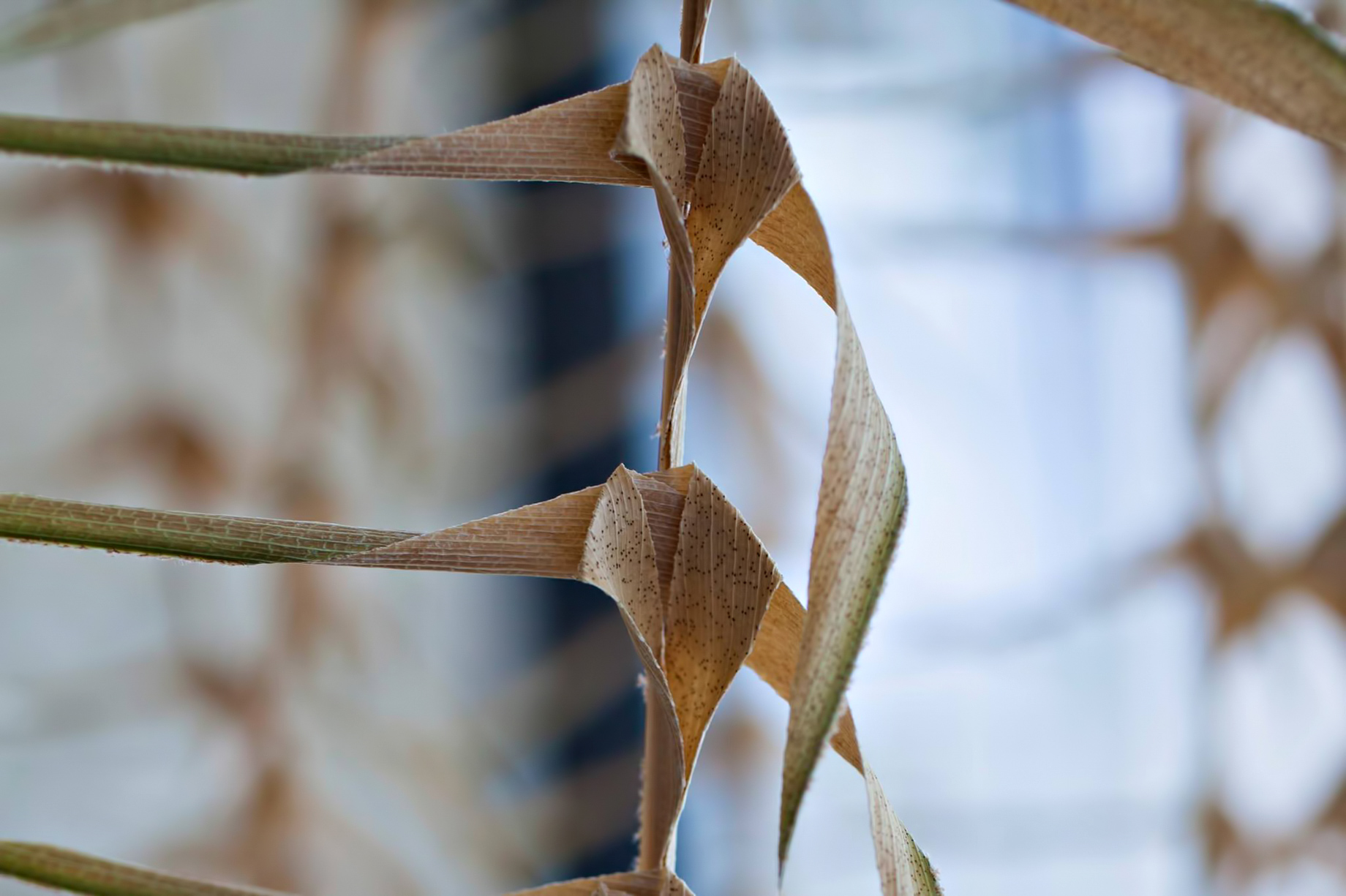 Cheval Blanc Randheli Resort – Noonu Atoll, Maldives – Tropical Decor