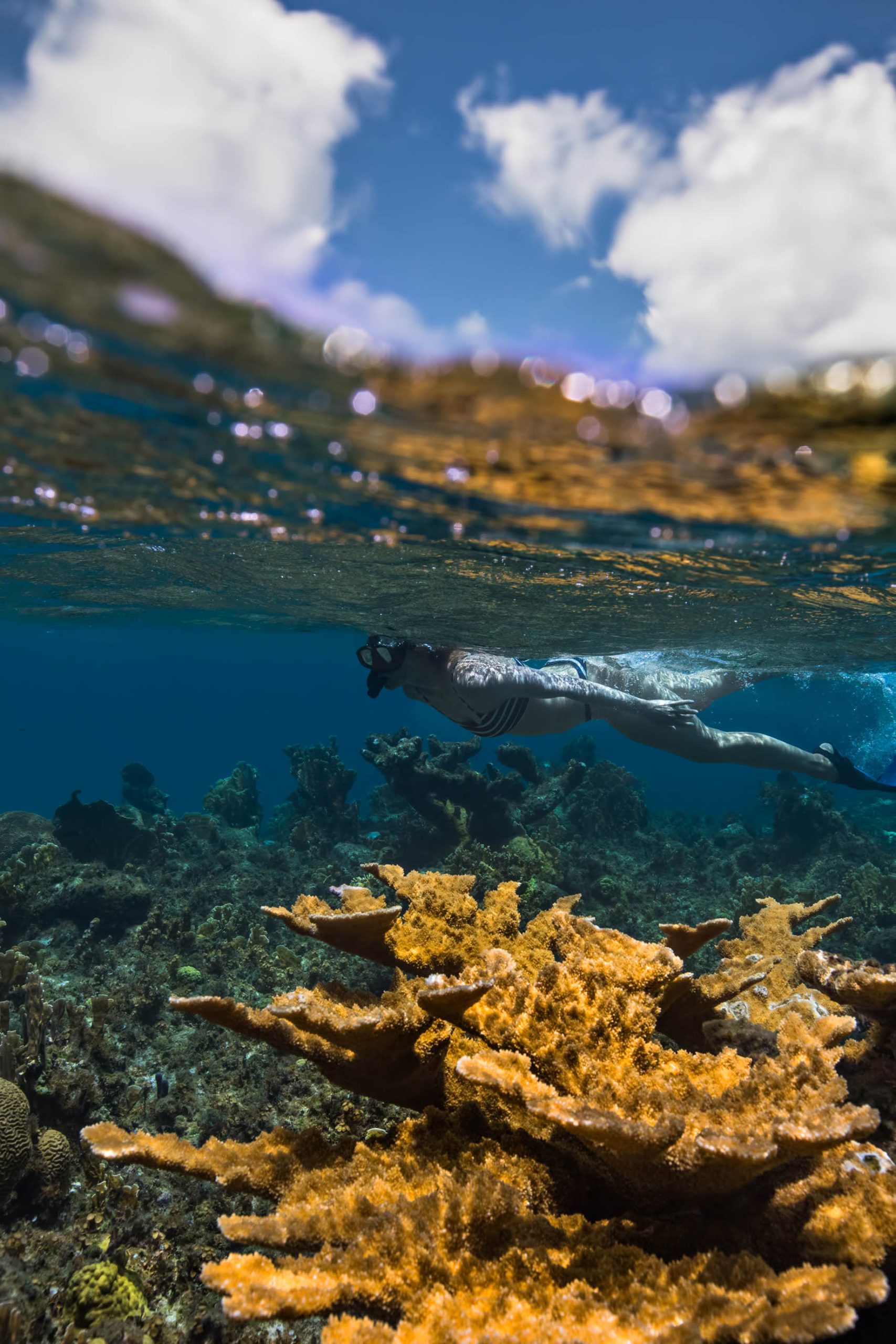 Amanyara Resort - Providenciales, Turks and Caicos Islands - Snorkeling