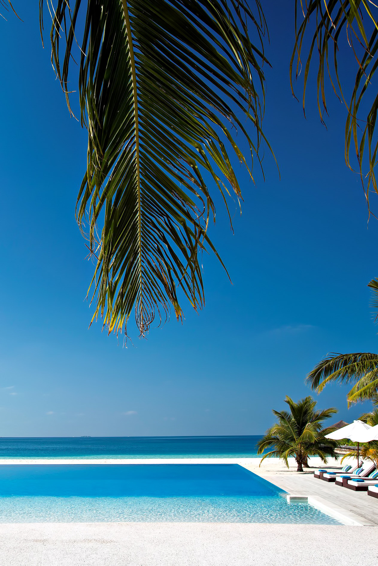 Velassaru Maldives Resort – South Male Atoll, Maldives – Infinity Pool