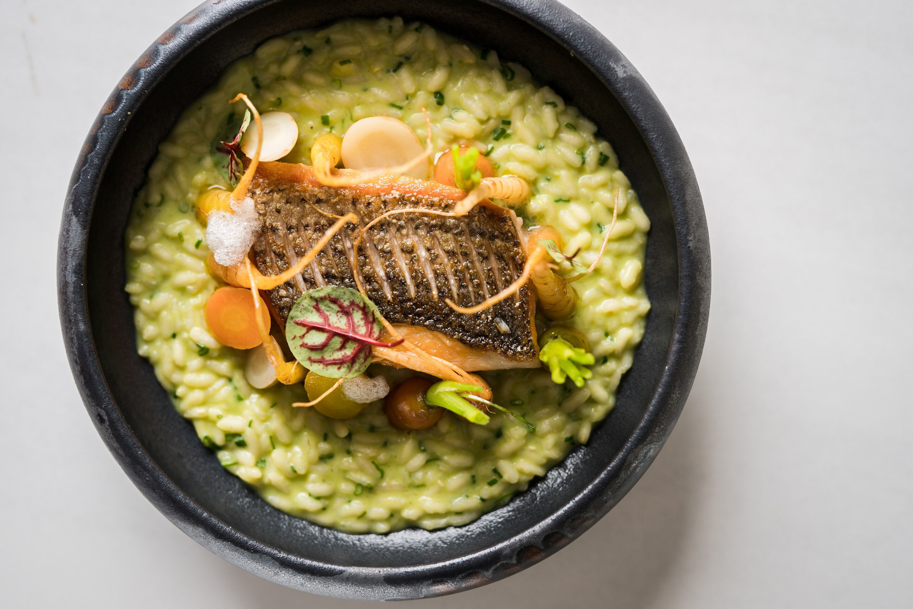 W Montreal Hotel – Montreal, Quebec, Canada – TBSP Gourmet Food