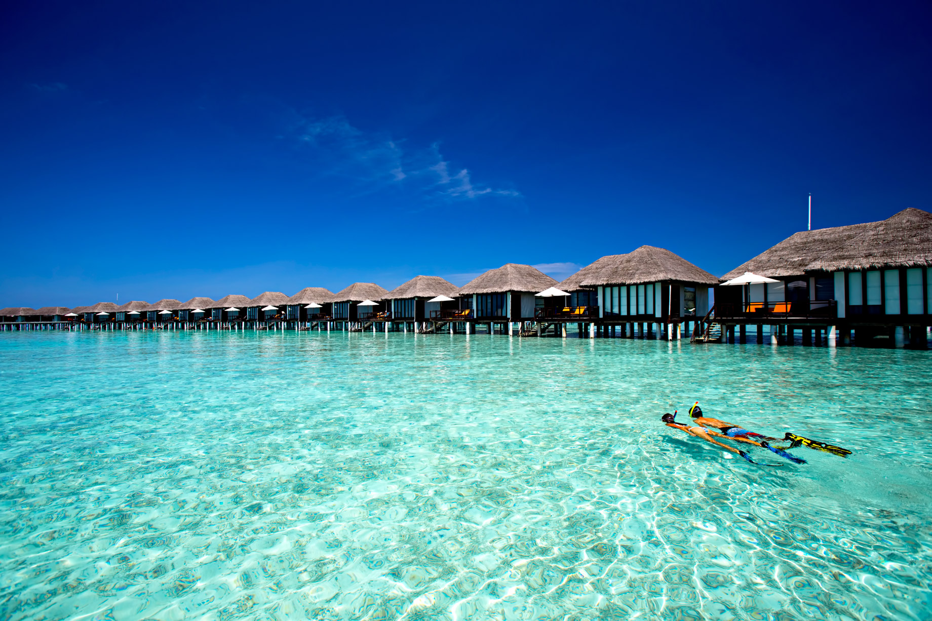 Velassaru Maldives Resort – South Male Atoll, Maldives - Snorkeling