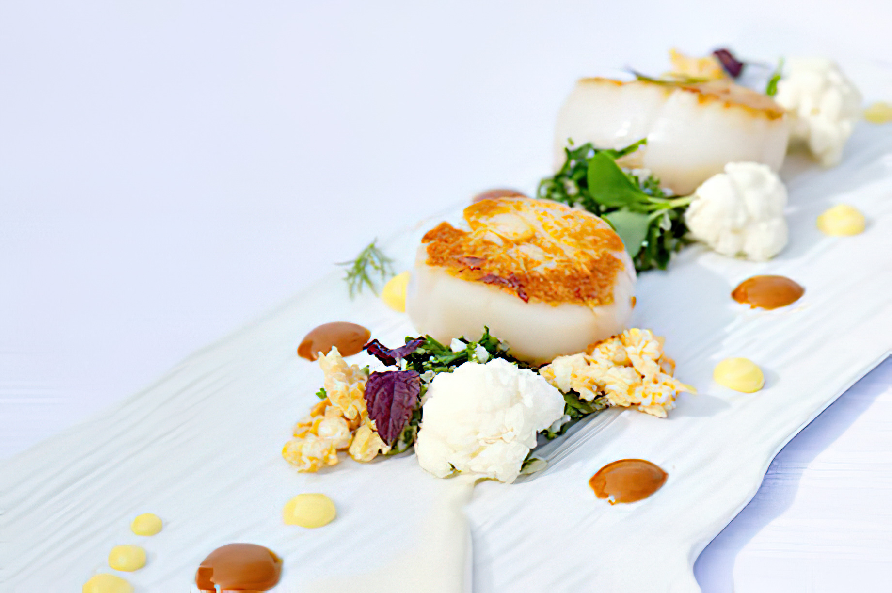 The Nautilus Maldives Resort - Thiladhoo Island, Maldives - Unscripted Dining