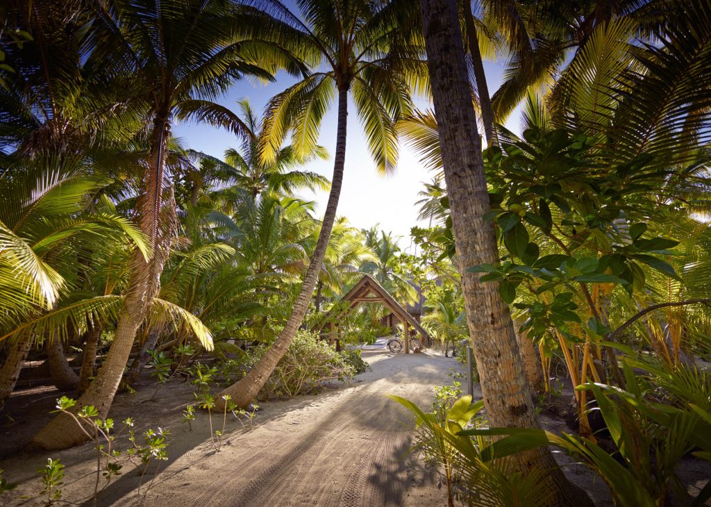 The Brando Resort - Tetiaroa Private Island, French Polynesia - Palm Tree Path