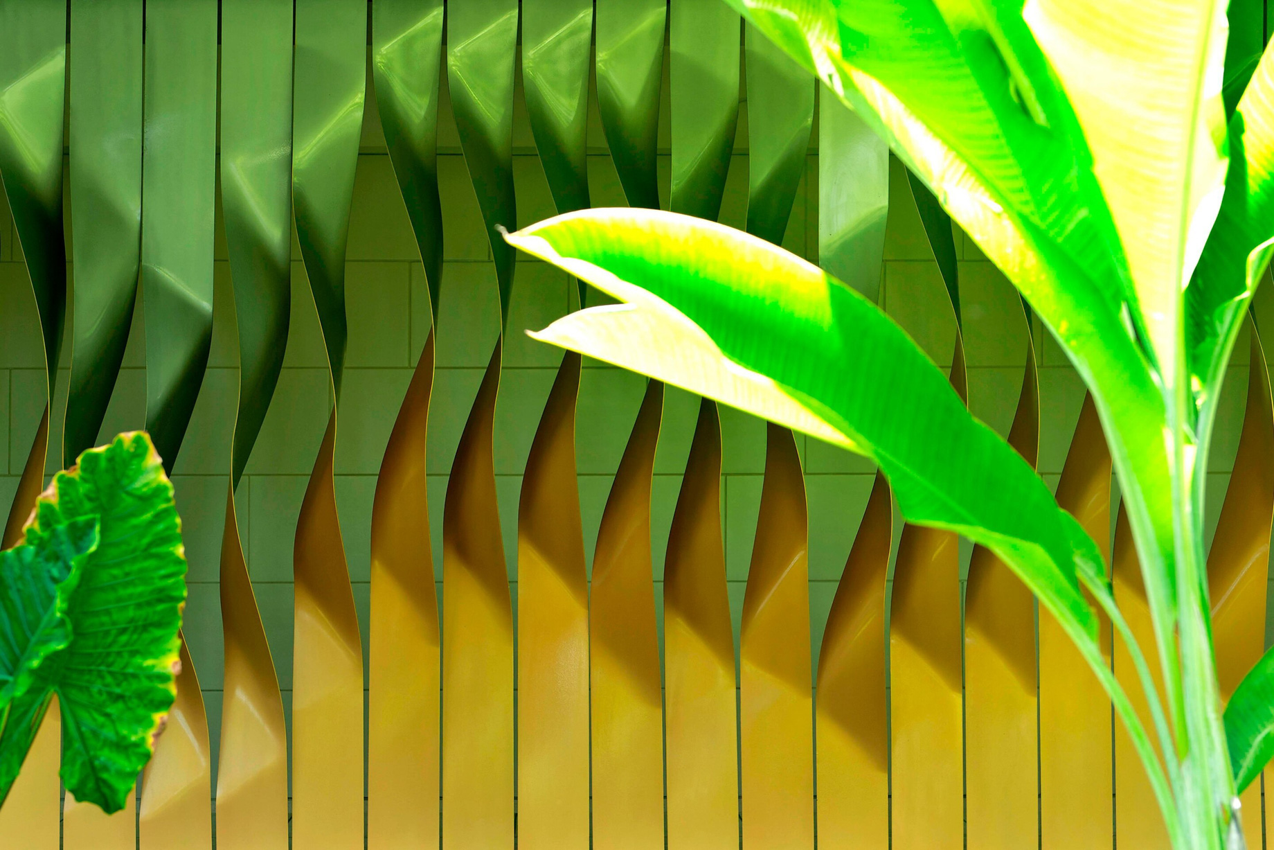 W Bali Seminyak Resort – Seminyak, Indonesia – Away Spa Wall