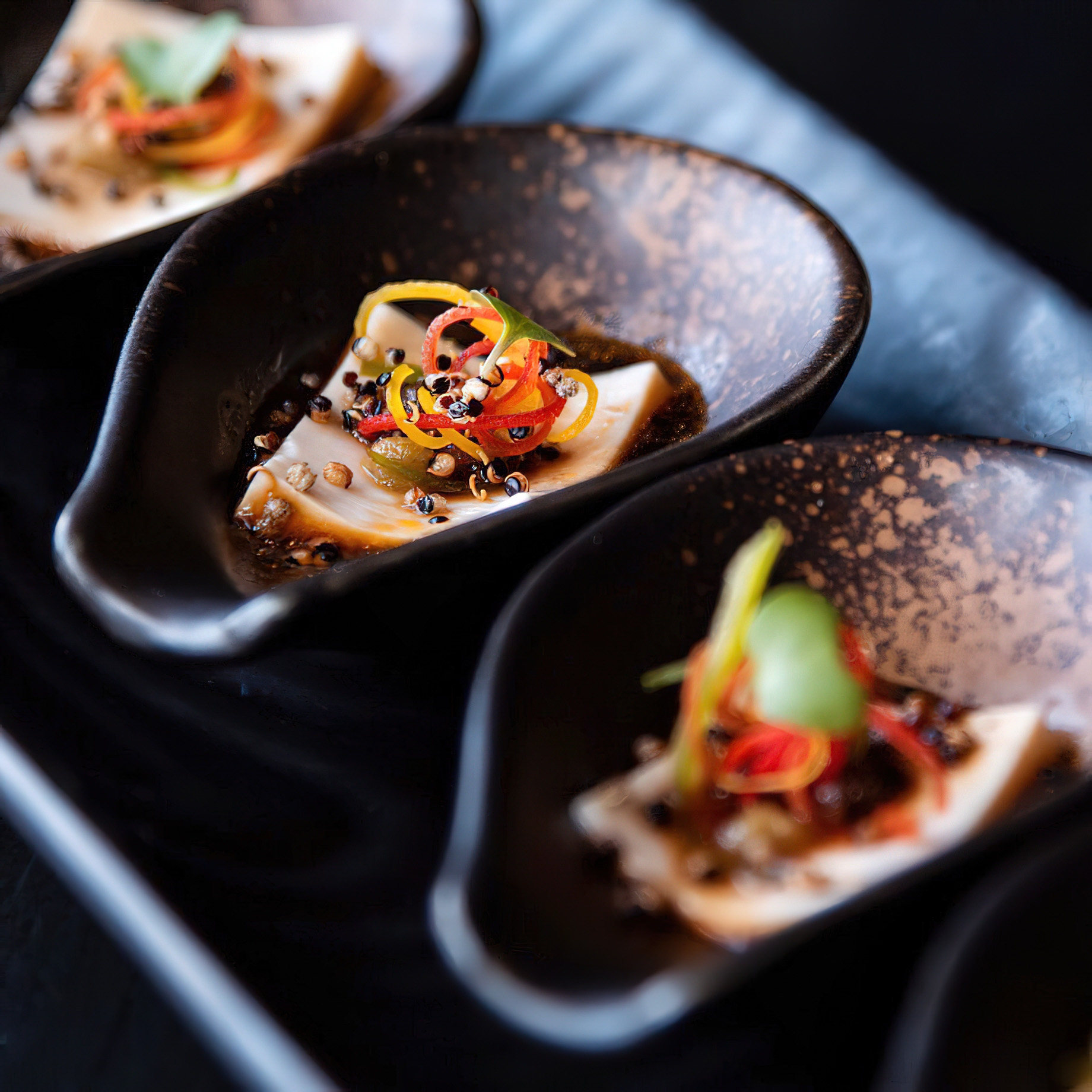 The St. Regis Mumbai Hotel - Mumbai, India - Bean Curd Carpaccio a Japanese Classic