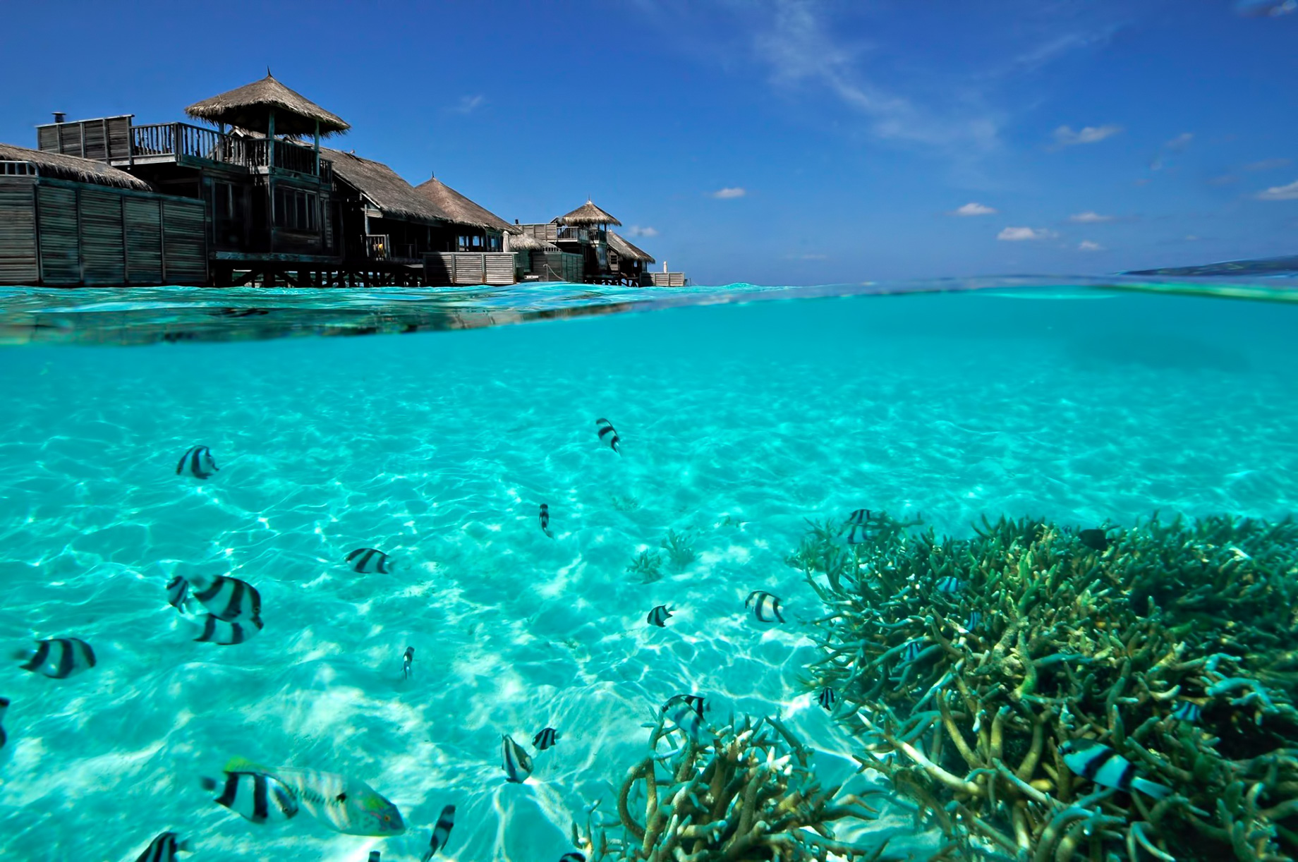 Gili Lankanfushi Resort – North Male Atoll, Maldives – Overwater Villa Underwater View