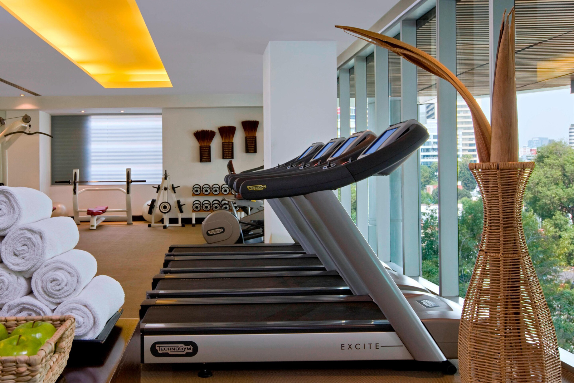 W Mexico City Hotel – Polanco, Mexico City, Mexico – FIT Gym Equipment